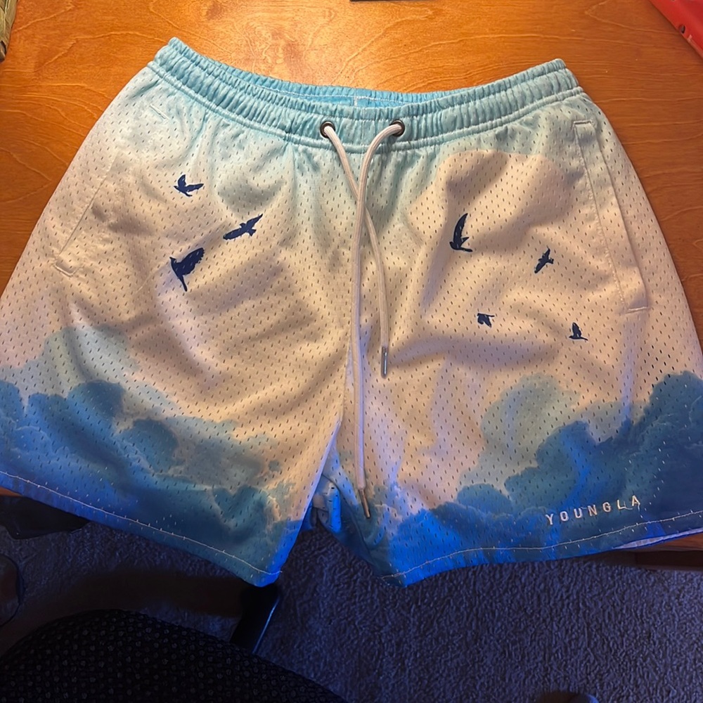 YoungLA Block Party Shorts. Medium.